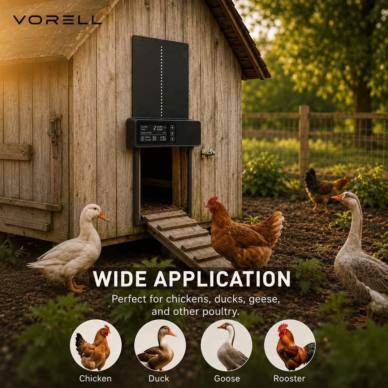 Vorell CoopGuard Essential kit suits chickens, ducks, geese and roosters